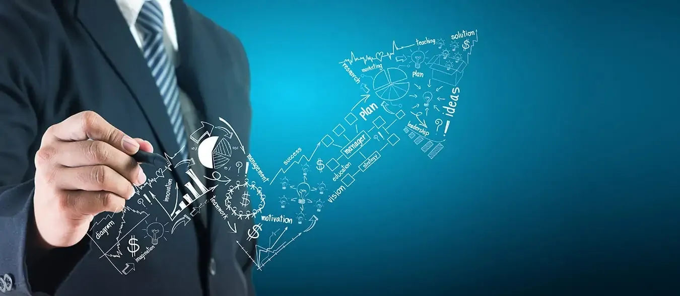 DO ORGANIZATIONS PLAN THEIR FUTURE?