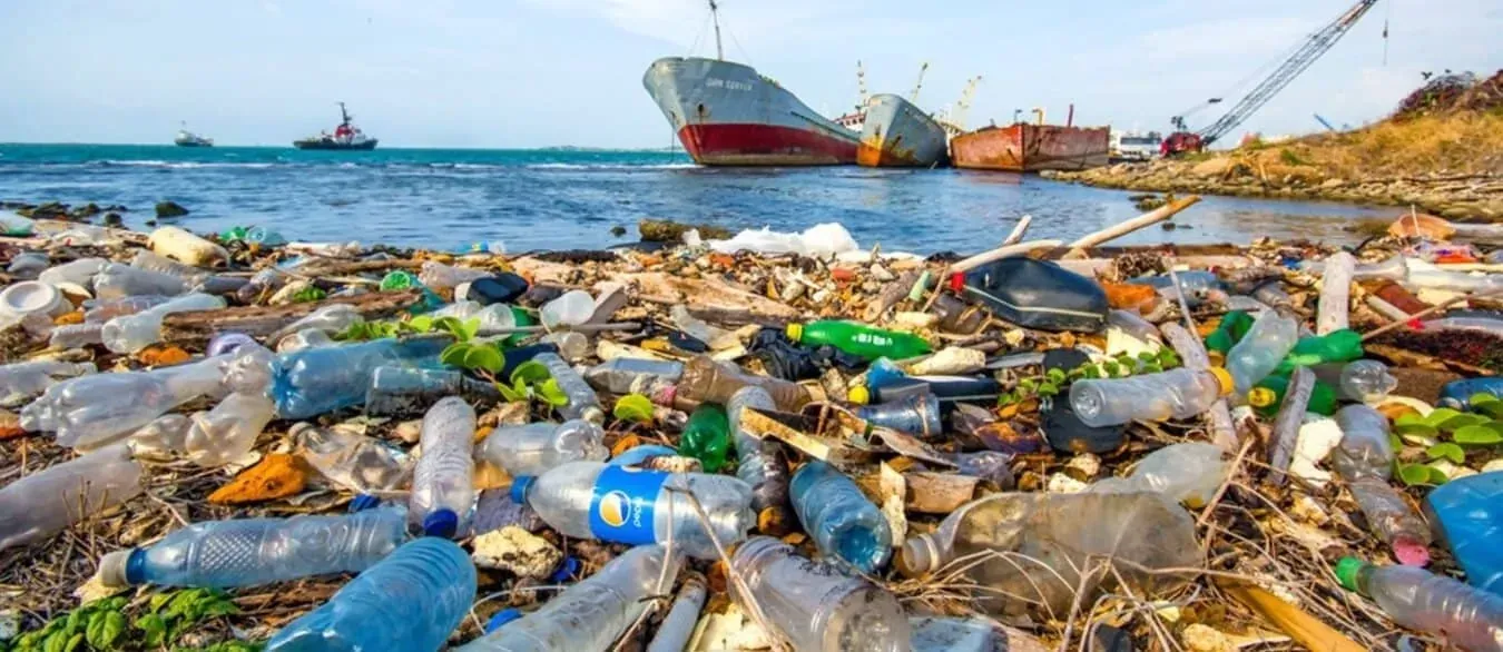 Our Plastic Problems and Possible Solutions